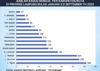 1.973 Kasus DBD Ditemukan di Lampung Sejak Januari-September