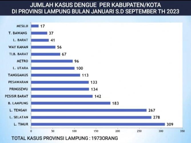 1.973 Kasus DBD Ditemukan di Lampung Sejak Januari-September