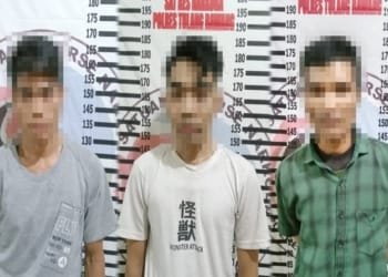 3 Pengedar Narkoba di Tuba Ditangkap, Terancam 20 Tahun Penjara