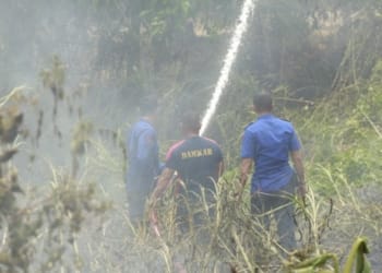 64 Kebakaran Lahan Melanda Tulangbawang Selama Oktober Tahun 2023
