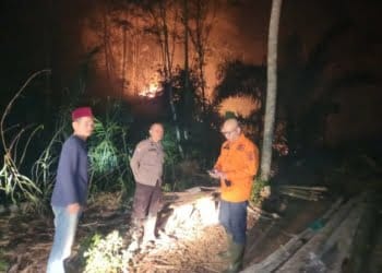 70 Hektar Lahan Terbakar, Pemkab Tanggamus Berlakukan Situasi Tanggap Darurat Bencana Usai