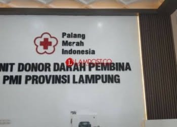 Ada 1.847 Kantung Darah Tersedia di PMI Lampung