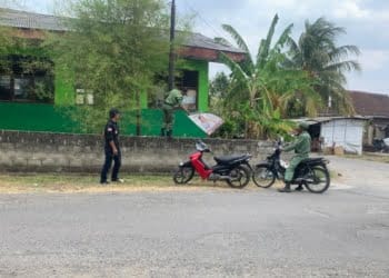 Belum Semua APS Melanggar di Lampura Ditertibkan