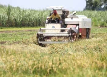 Gernas Tanam Padi di Lampung Terkendala Air