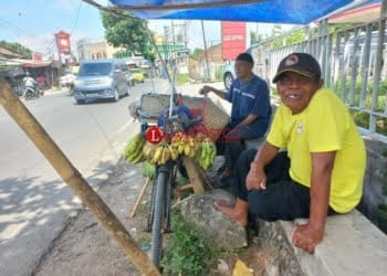Perjuangan Kakek Poniran, Jual Pisang Keliling pakai Sepeda Demi Hidupi Keluarga