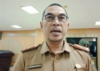 Kawasan Hutan di Lampung Tersisa 28 Persen