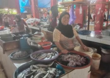 Kisah Ibu Sembilan Anak Jadi Tulang Punggung Keluarga karena Suami Stroke