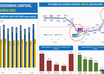 Menilik Kinerja Pelaksanaan Anggaran