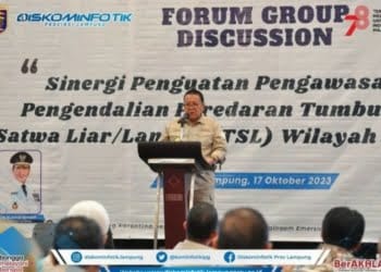 Penyelundupan Lebih dari 19 Ribu Satwa Digagalkan di Lampung