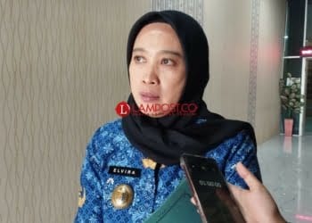 Proses Pemasaran Hasil UMKM di Provinsi Lampung Didukung Go Digital