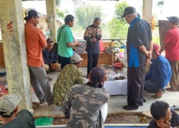 Sekolah Lapang Upaya Tingkatkan Pengetahuan Petani Hortikultura di Way Tenong
