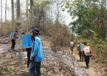 Tim Gabungan Sisir 70 Hektare Lahan yang Terbakar di Tanggamus