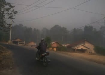 TPA Bakung Terbakar, DLH Lampung: Kualitas Udara Belum Membahayakan