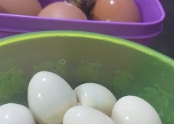 Cara Mengupas Telur Rebus yang Mulus dan Manfaatnya Bagi Kesehatan