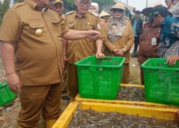 Gubernur Lampung Serahkan Bantuan untuk Petambak Udang