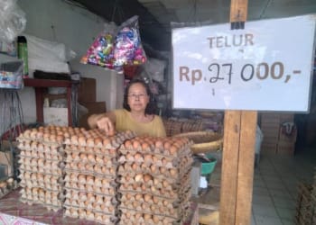 Jelang Natal Harga Telur Tembus Rp27 Ribu Perkilogram