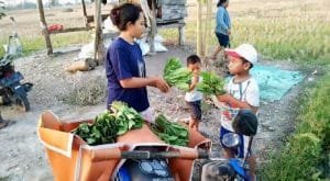 Bayam Baik untuk Menurunkan Berat Badan