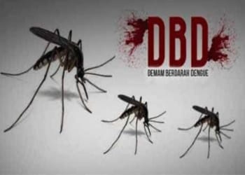 Pesawaran Siap Bila Ditunjuk sebagai Pilot Project Penyebaran Nyamuk Wolbachia