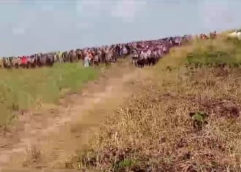 Polda Enggan Buka Hasil Penyelidikan Penganiayaan Warga Tuba