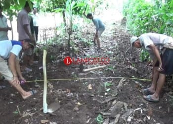 Puluhan Tahun Tak Dibangun, Warga Pekon Negeri Ngarip Gotong Royong Buka Jalan