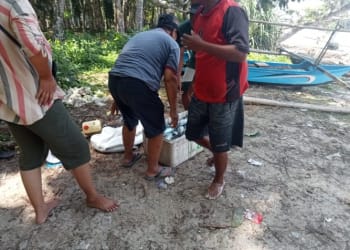 Tangkapan Ikan Nelayan Pesisir Barat Melonjak