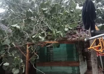 10 Rumah di Mesuji Rusak Parah Akibat Angin Kencang
