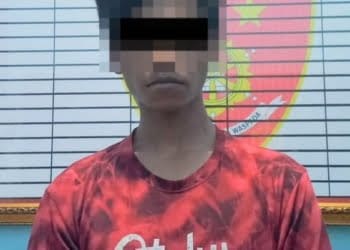 Polisi Ringkus Pria Setubuhi Anak Bawah Umur