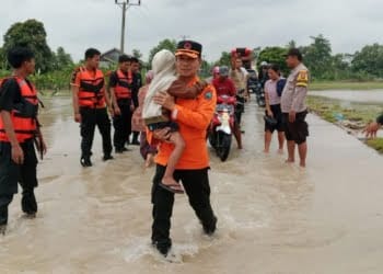 177 Rumah di 2 Kecamatan Lamsel Terdampak Banjir   