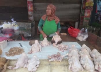 Pedagang Keluhkan Harga Daging Ayam Naik