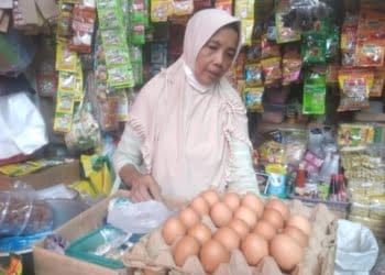 Harga telur ayam melambung.