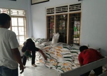 Pemkab Lampung Barat Percepat Pendistribusian Beras Bantuan