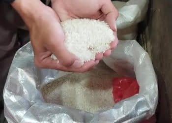 Ilustrasi. Dok/Lampost