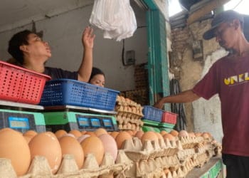Harga Beras dan Telur di Bandar Lampung Terus Meroket