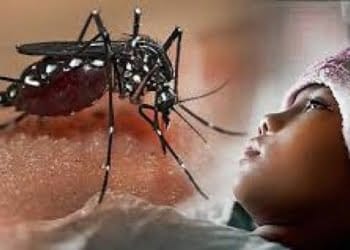 Lingkungan Berperan Penting Atasi DBD