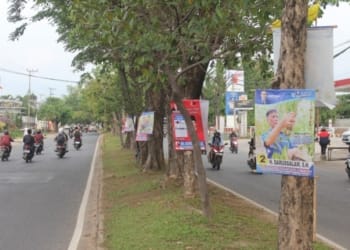 Poster Caleg Nempel di Pohon Rusak Lingkungan
