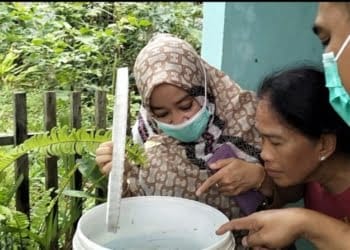 Sepanjang Tahun 2023 Sebanyak 131 Kasus DBD Terjadi di Kabupaten Tanggamus