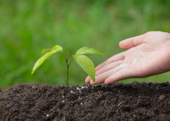 Sumarsono Sebut Subsidi Pupuk Petani jadi Program Gagal Pemerintah Pusat