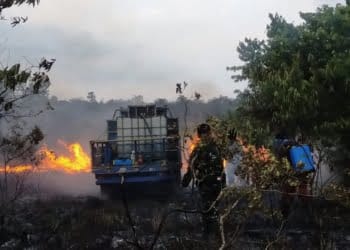 300 Hektar Lahan TNWK Terbakar Diduga Ulah Pemburu Liar