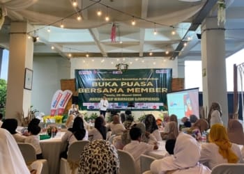 alfamart cabang lampung