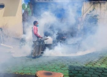 Dinkes Tanggamus Catat 27 Kasus DBD Hingga Februari 2024