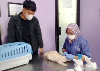 Layanan Berbayar UPTD BPK2LP Sumbang PAD Provinsi Lampung