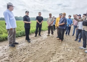 Pj Bupati Pringsewu Pantau dan Cari Solusi Jalan Rusak