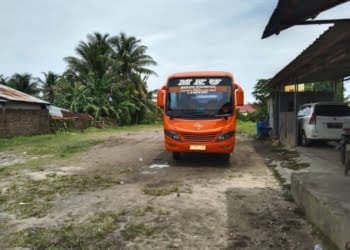 Harga tiket bus kelas ekonomi angkutan mudik lebaran 2024 dari Bandar Lampung menuju Krui diproyeksikan tidak mengalami kenaikan.