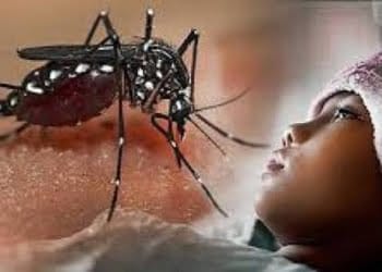 Antisipasi DBD Melalui Pola Hidup Bersih dan Cinta Lingkungan   