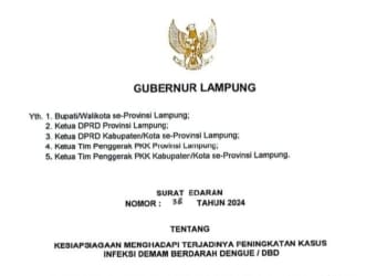 DBD di Lampung Tembus 1.779 Kasus