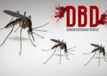 Sosialisasi DBD. Cara Mencegah DBD.