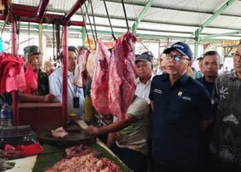 Mendag Zulkifli hasan meninjau harga dan stok pangan