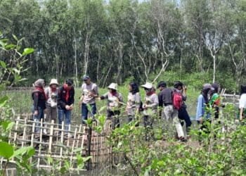 Mahusa Unila tengah melakukan penanaman mangrove di Hutan Mangrove Kotakarang, Bandar Lampung.