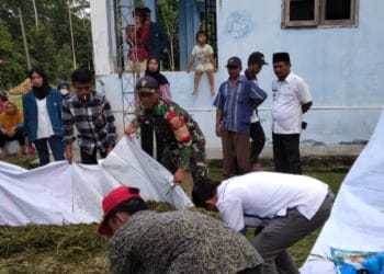 Babinsa-Mahasiswa KKN Unila Ajari Warga Kampung Sukaagung Olah Pakan Ternak Fermentasi