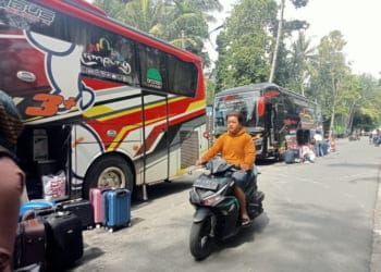 Destinasi Wisata Pesisir Barat Ramai di Akhir Pekan